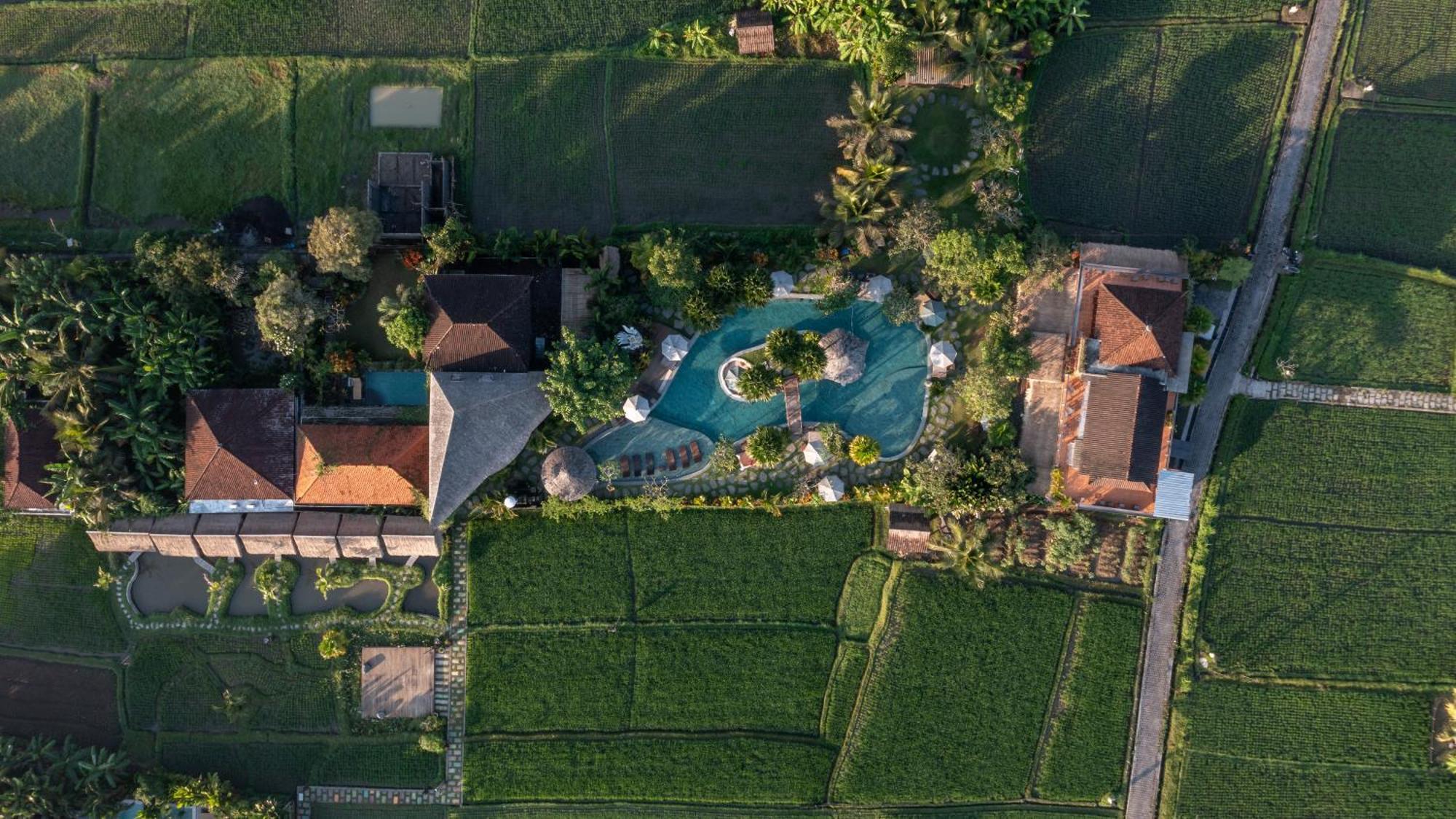 Candy Villa By Pramana Villas Ubud Kültér fotó